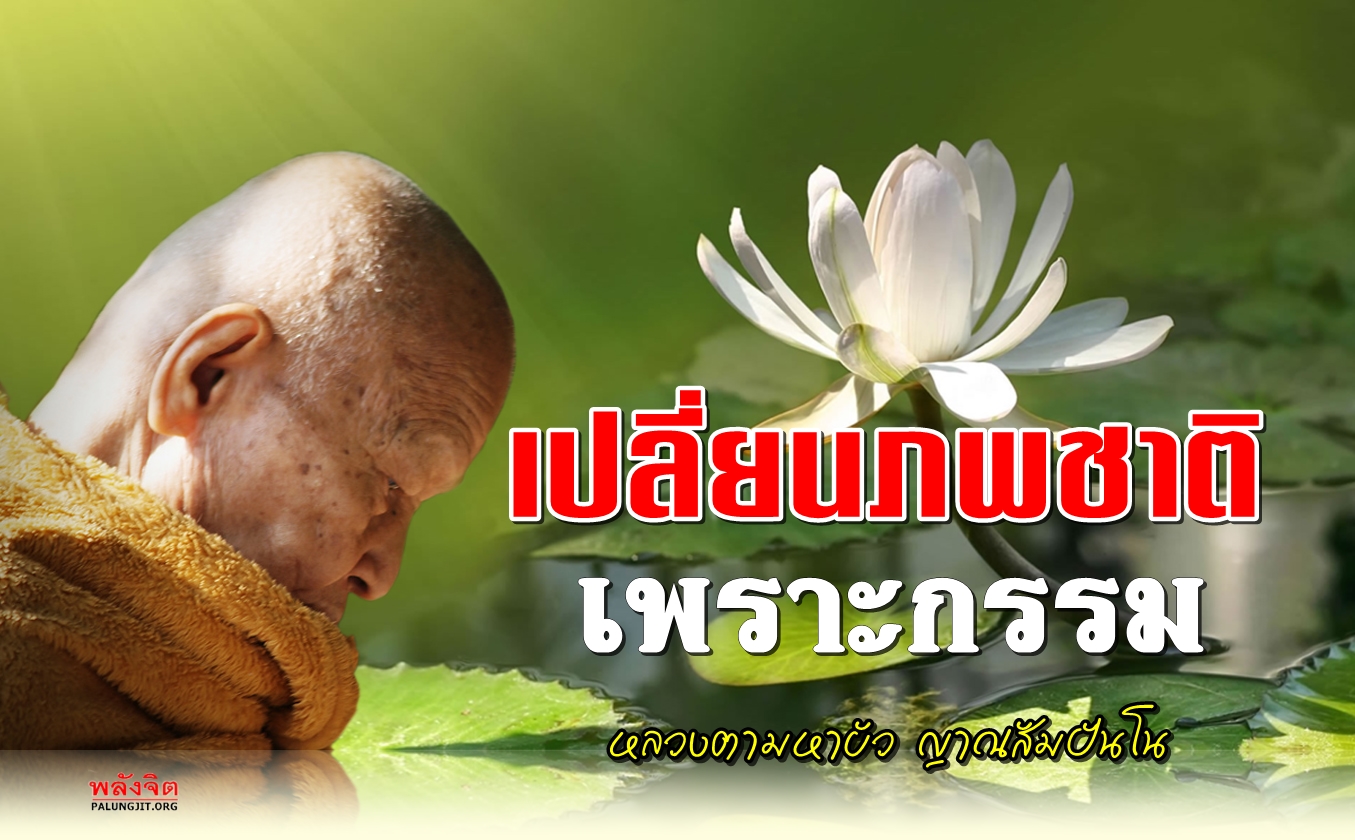 หลวงตาบัว-พลังจิต005-1.jpg