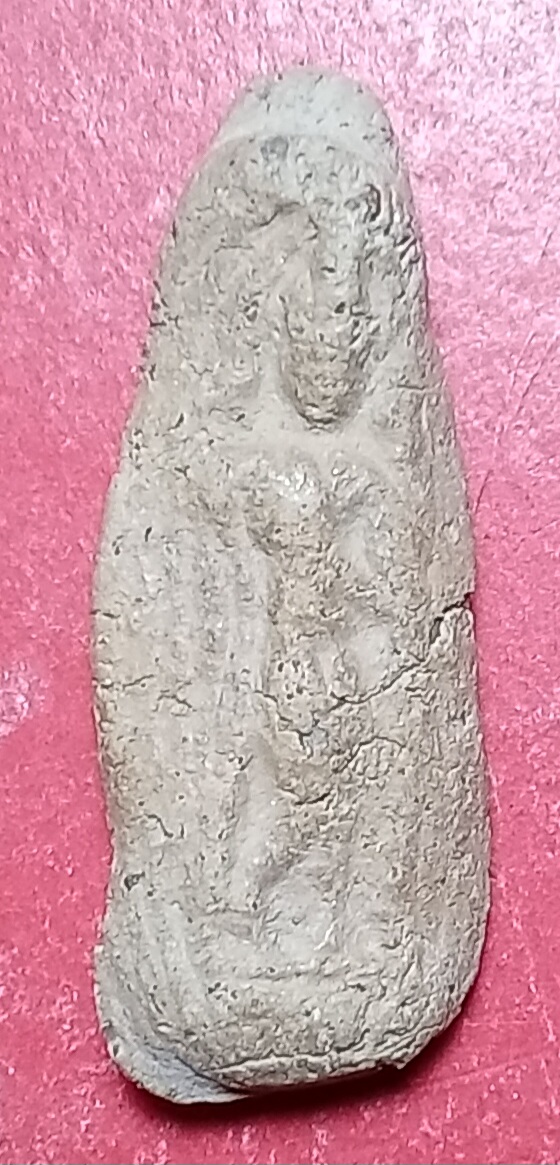 20260317_113808.jpg