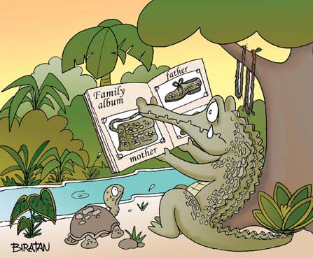 alligaterfamily.jpg