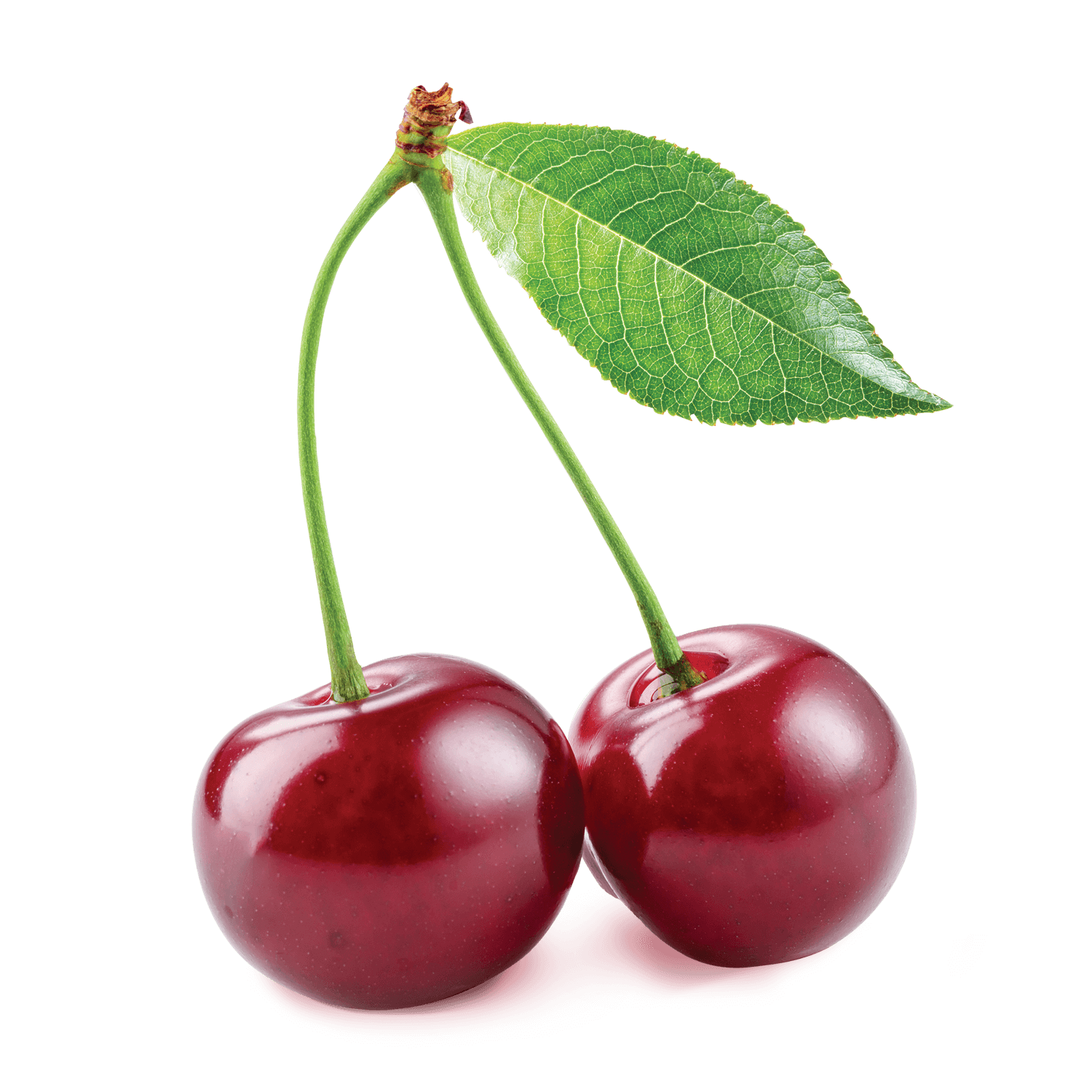 Cherry-Image.png