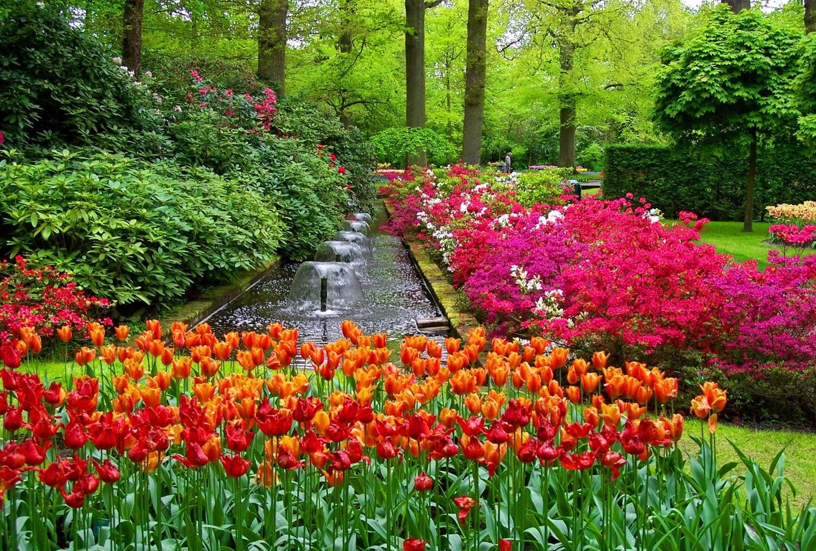 flowers-forest-garden-pretty-.jpg