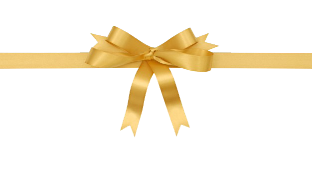 golden-gift-bow_1101-1189 copy.png