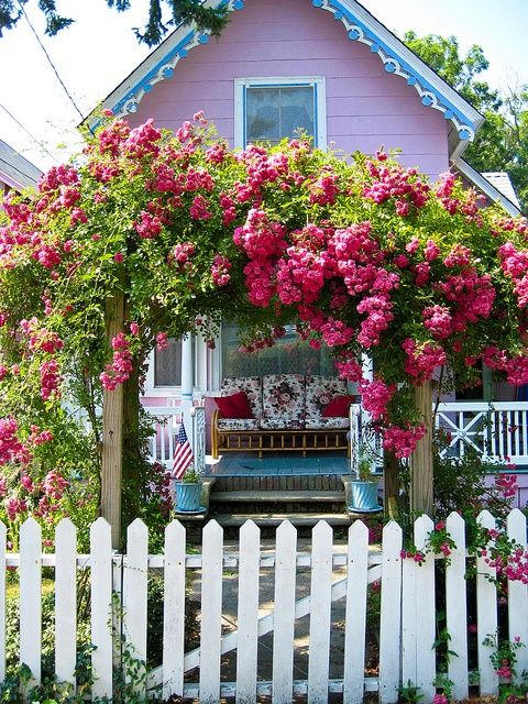 pink-roses-arch-garden-white-picket-fence.jpg