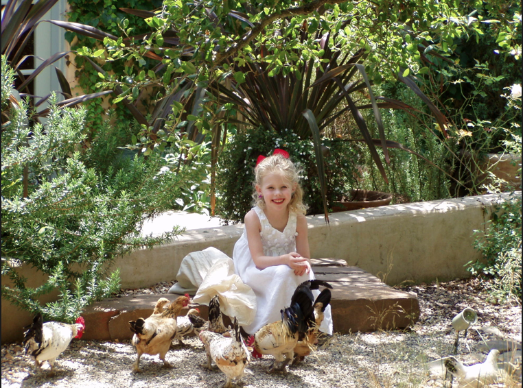poppy-with-chickens.png