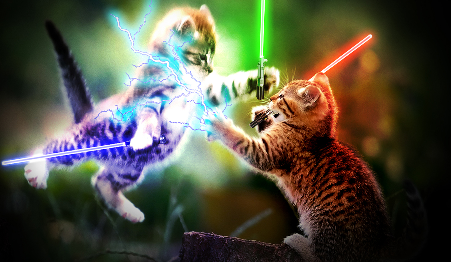 Star-cat-wars.jpg